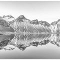 Reflection