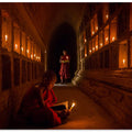 the novices