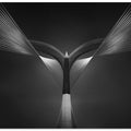 Art Prints of Heart of steel