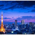 Art Prints of Tokyo night view