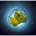 Cosmic Autumn