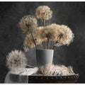 Dandelion Seed Pod