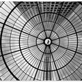 Art Prints of Look up