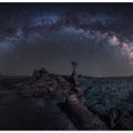 Toadstool Night