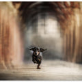 Art Prints of "He who leaps for the sky may fall, it's true. But he may also fly.” ― Lauren Oliver