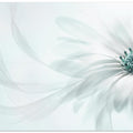 Purity