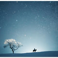 A starry night