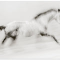 The unique brush stroke