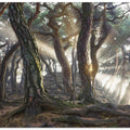 Sacred Pine Trees