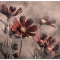 Cosmos 2019