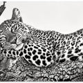 Time to rest