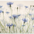 Cornflowers