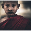 Young eyes from Myanmar