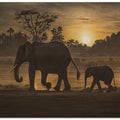 Art Prints of Follow me
