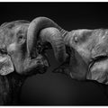 Art Prints of Exchange greeting