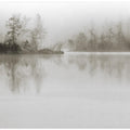 Dissolution