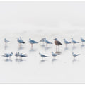 Art Prints of coexistence