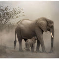 Art Prints of '...you showed me when I was young just how to grow....'