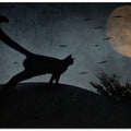 Art Prints of the curious tail of the cat filemon...