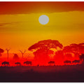 Amboseli sunrise