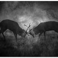 Art Prints of ^^^^^^^