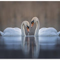 Art Prints of Couple