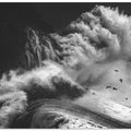 BIRDS IN THE STORM (Part 4)