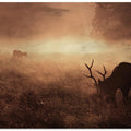 Art Prints of Family...