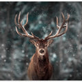 Art Prints of Deer King