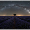 Solitario / Solitaire