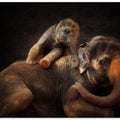 Art Prints of LOVING BOND