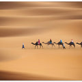 Desert caravan