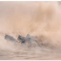 Art Prints of Great migration (crossing river)