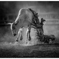 Art Prints of Touching the Ground
