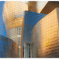 Gehry's Pearl