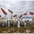 Art Prints of Waiting for a fish