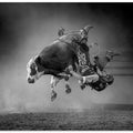 Art Prints of Whose on Top