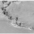 Art Prints of Crossing river ( wildbeest )
