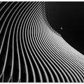 Art Prints of Flight moment