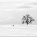 In winter