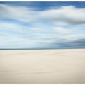 birds at the seaside