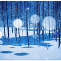 Fairyland