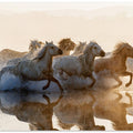 Art Prints of Horses