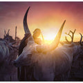 Mundari's cow man