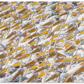 Art Prints of Parade Pelican