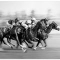 Art Prints of Horse Racing @ Queen's Plate
