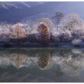 Ice Island