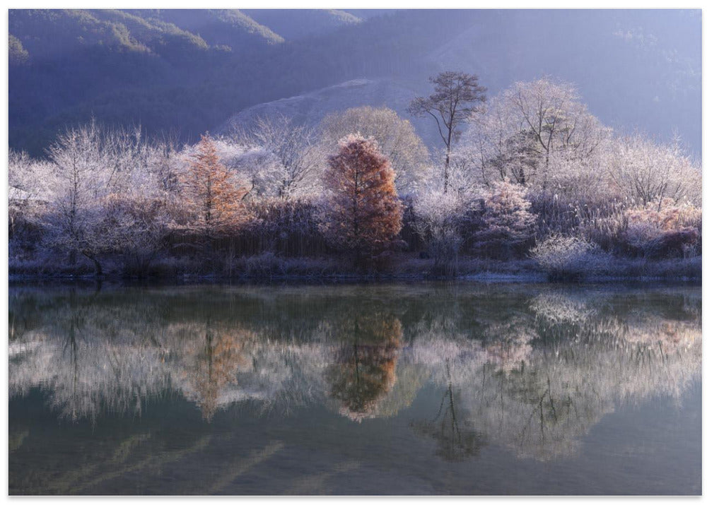 Ice Island