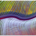 Art Prints of The flood plains, abstractly