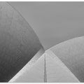Art Prints of Sydney Icon